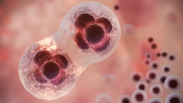 Estudo identifica enzima que dispara caos genético ligado à resistência do câncer