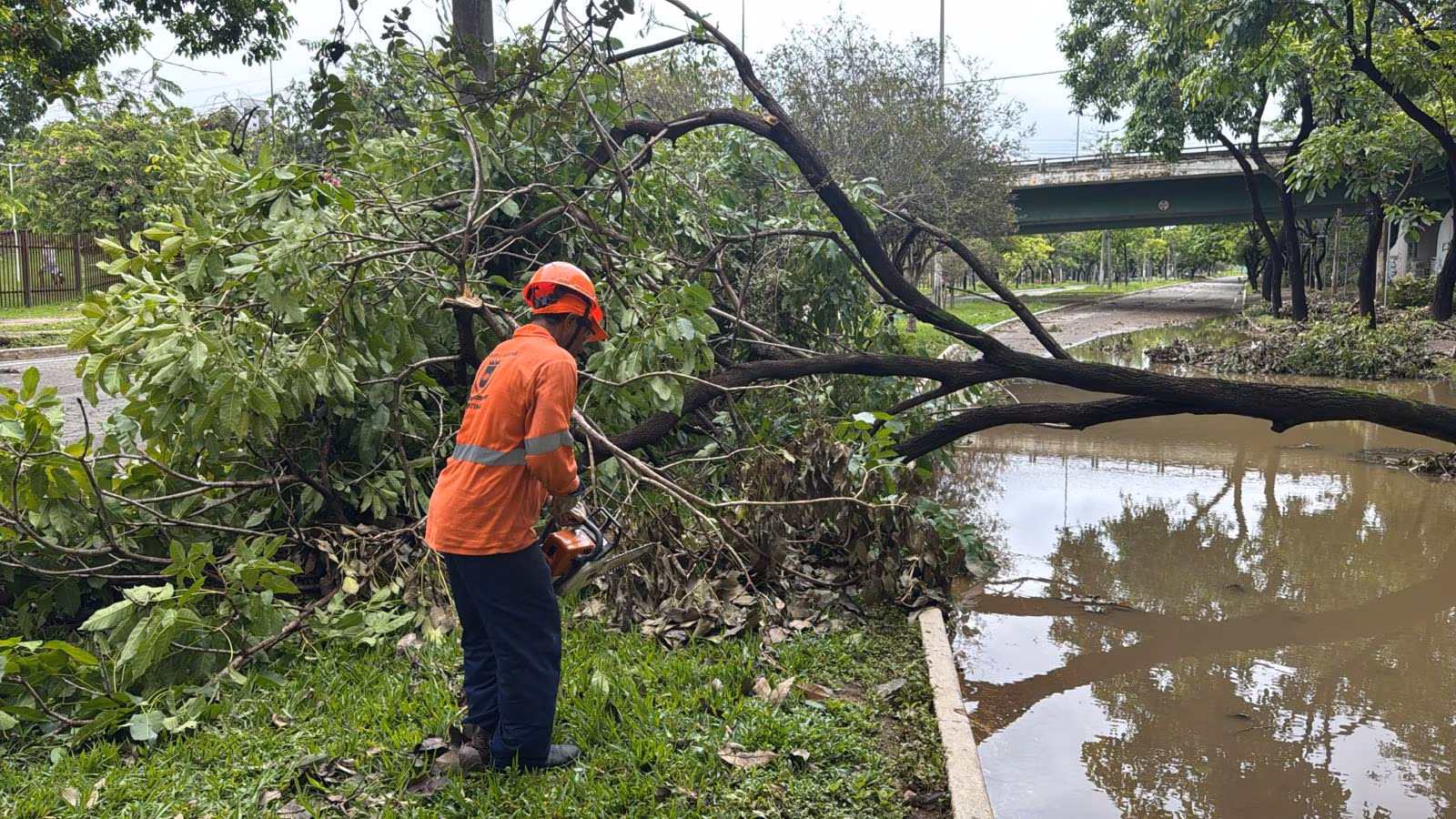 Sugestão de pauta: Ações integradas asseguram controle e atendimento após chuvas em Ipatinga