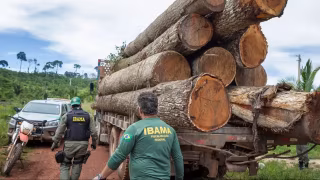 Ibama e Incra abrem concurso temporário com salários de até R$ 9,8 mil