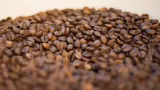 Governo manda recolher 23 lotes de café por risco à saúde; veja quais são