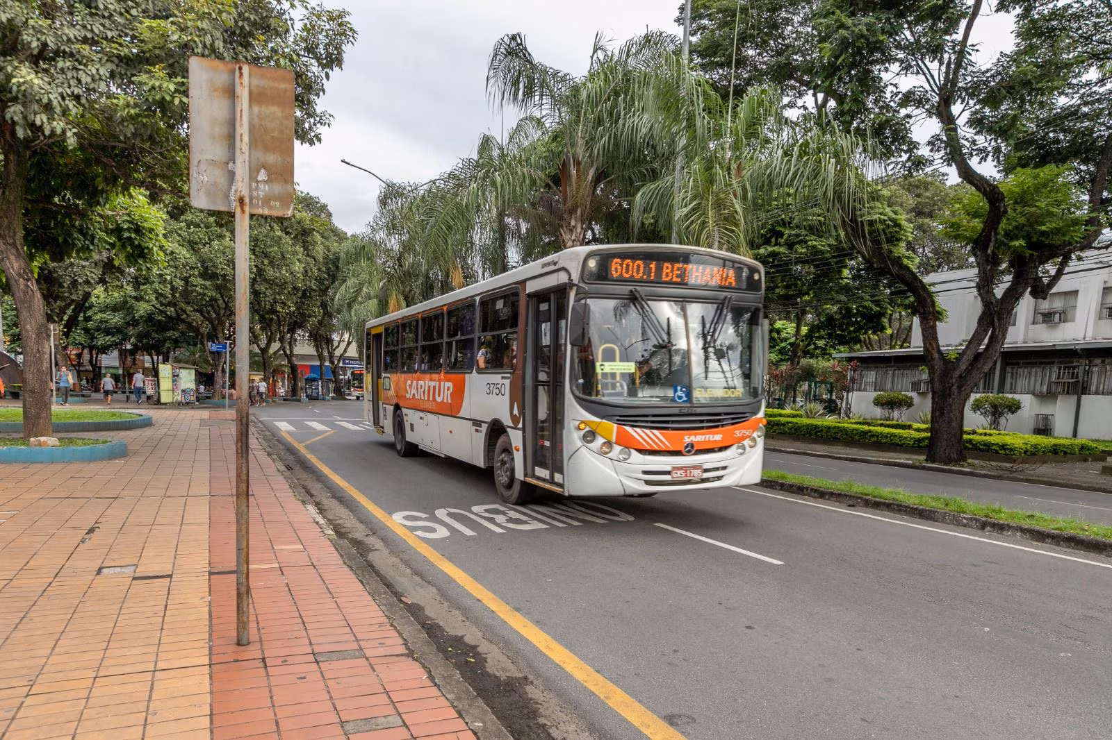 Sugestão de pauta: Ipatinga sanciona três leis que garantem tarifa acessível e manutenção de gratuidades no transporte público