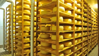 Controladora da Polenghi, francesa Savencia anuncia compra da brasileira Quatá Alimentos