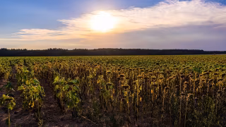 Inmet mantém alerta vermelho de onda de calor para mais de 1,2 mil cidades no Brasil