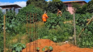 Mulher desaparecida após enviar mensagens de despedida é encontrada em segurança em João Monlevade