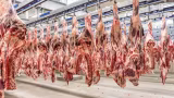 China impõe tarifa adicional de 55% sobre importações de carne bovina acima da cota