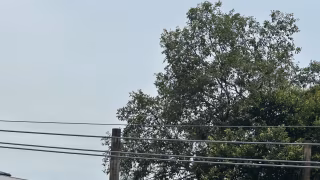 Vale do Aço tem alerta para possibilidade de chuva forte e risco de alagamentos