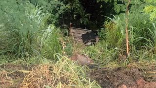 Carro despenca de ribanceira de 30 metros na BR-381 em João Monlevade