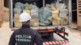Vídeo: PF incinera 7,8 toneladas de drogas apreendidas em operações de 2025 em Minas