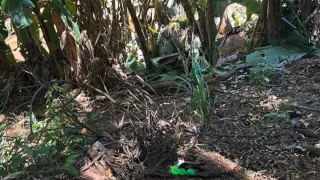 Homem de 30 anos é preso em flagrante suspeito de homicídio em Caratinga