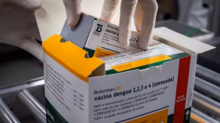 Butantan inicia recrutamento de voluntários no estudo da vacina contra dengue em idosos