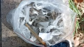 Jovem é detido com porções de drogas durante patrulhamento em Ipatinga