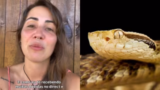 Influenciadora é picada por cobra jararaca durante trilha em Ilhabela