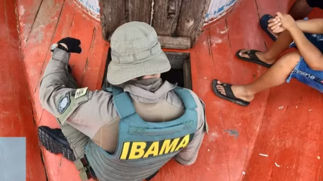 Ibama emite alerta sobre golpes com falsos concursos e taxas via PIX