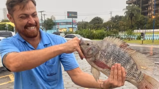 Temporal em Franca faz córrego transbordar e tilápia de 1,5 kg aparece em avenida