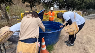 Primeiro LIRAa de 2026 em Timóteo aponta queda, mas mantém alerta para Aedes aegypti