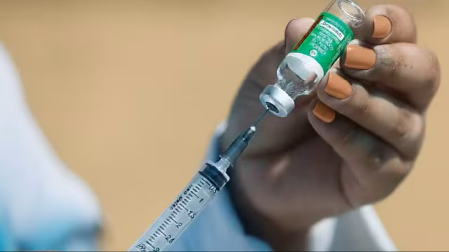 No radar da ciência: os vírus que podem provocar novas epidemias em 2026