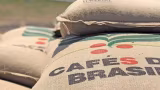 Café brasileiro bate recorde de receita em 2025 mesmo com queda nas exportações