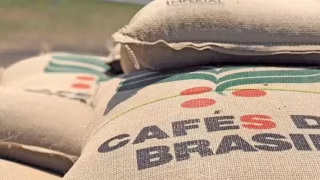 Café brasileiro bate recorde de receita em 2025 mesmo com queda nas exportações