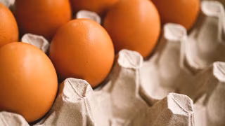 Após queda histórica, preço do ovo volta a subir em BH e deve pressionar bolso do consumidor