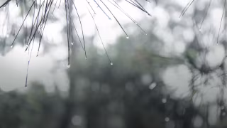 Inmet emite alerta de perigo para chuvas intensas em 264 cidades de Minas Gerais