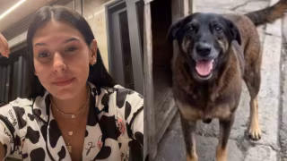 Ana Castela se revolta com morte de cachorro espancado e cobra justiça