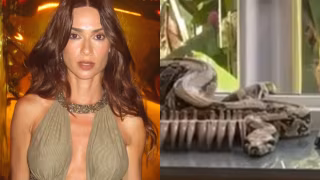 Thaila Ayala encontra cobra na sala de jantar e chama Bombeiros no Rio