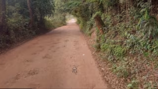 Motociclista de 62 anos fica gravemente ferido em acidente na MG-232, em Santana do Paraíso
