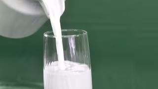 Queda no preço do leite perde força e mercado pode reagir entre fevereiro e março de 2025