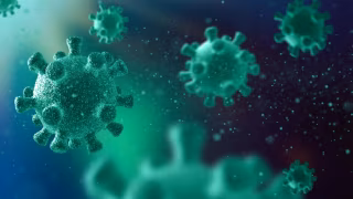 Aquecimento global e mobilidade elevam risco de novas epidemias em 2026, alerta infectologista