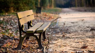 Luto prolongado pode alterar circuitos de recompensa do cérebro, aponta revisão