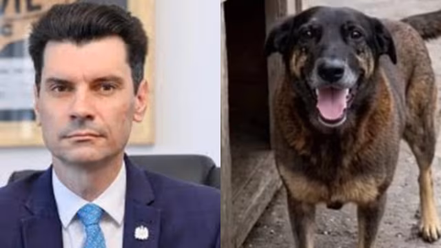 Após polêmica envolvendo o cão Orelha, delegado se afasta para disputar eleição