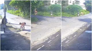 Câmeras flagram discussão e abandono de bebê em mata e bueiro na Grande BH PM amamenta recém-nascida resgatada