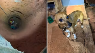 VÍDEO: Idosa cai em cisterna desativada de 13 metros dentro de casa em Montes Claros e é resgatada com ajuda de cãozinho