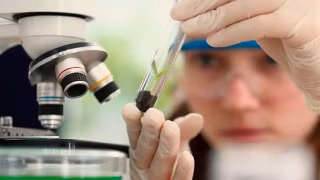 Observatório Nacional lança edital do programa Meninas Cientistas do ON