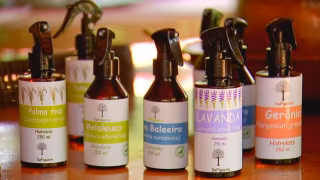 Sítio em Pindorama cultiva 28 plantas aromáticas e produz óleos essenciais com extração a vapor