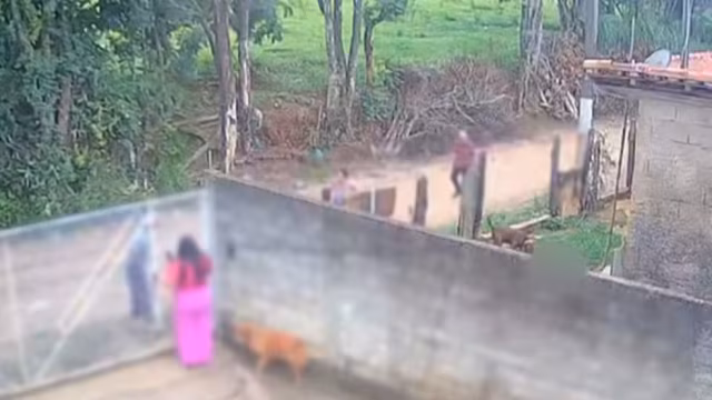 Polícia apura se bebê de 11 meses já estava morto antes de ataque de pitbull em Socorro (SP)