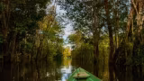 Estudo alerta para ameaça às áreas úmidas da Amazônia e aponta perda de 290 mil hectares
