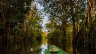 Estudo alerta para ameaça às áreas úmidas da Amazônia e aponta perda de 290 mil hectares
