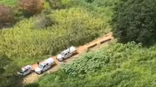 Homem é preso após agredir companheira e fugir com bebê para mata em Periquito