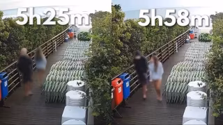 Polícia Civil pede internação provisória de adolescente suspeito de matar cão comunitário em Florianópolis