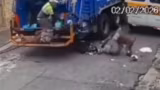 Coletores de lixo são atacados por pit-bull durante trabalho e um deles tem o dedo arrancado