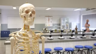 Instituto Principia abre inscrições para seleção 2026 da Escola de Talentos