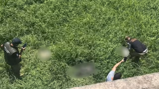 Crueldade no RS: após caso Orelha, polícia encontra descarte de cães e casos de enforcamento