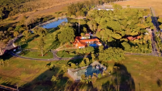 Pirarucus presenteados a Lula atacam animais e viram problema no lago da Granja do Torto