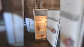 Em MG, trabalhadores resgatados de condição análoga à escravidão dividiam comida com animais para sobreviver