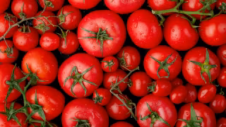 Cesta básica sobe em 24 capitais e tomate dispara, aponta levantamento