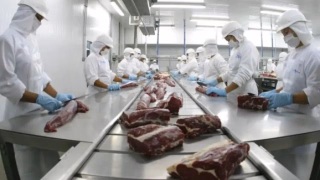 Brasil consolida modelo de aproveitamento quase total do boi e amplia exportações além da carne