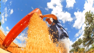 Conab prevê safra recorde de grãos e projeta 353,4 milhões de toneladas em 2025/26