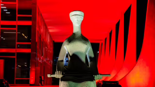 STF invalida leis municipais e decreto estadual que proibiam linguagem neutra nas escolas