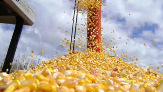 Guerra no Oriente Médio pode afetar um terço das exportações brasileiras de frango e milho